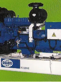 Genset FG Wilson P 220 E, Open Type 1 genset_03