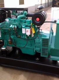 Genset Cummins Diesel Genset Cummins 6CTAA8.3-G2  175 Kva 8 picture_cummins_175_kva_type_engine_6cta8